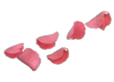 Petals.gif